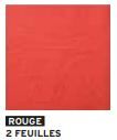 SDT 2P ROUGE Ecolabel (20x20cm)
