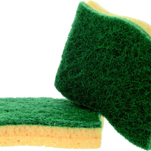 Tampon éponge ergonomique VERT GM /10