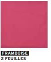 SDT 2P FRAMBOISE Ecolabel (30x39cm)
